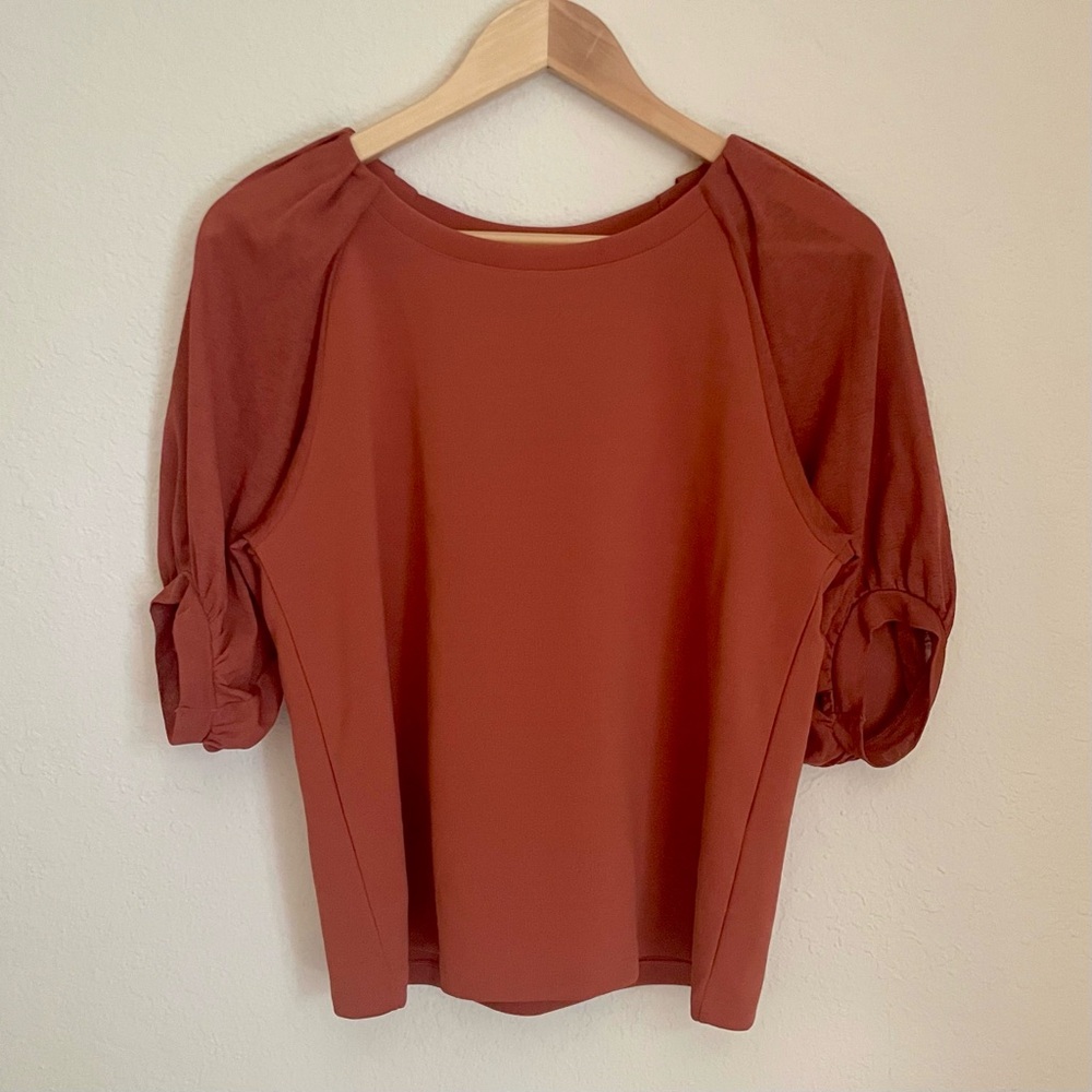 Banana Republic Balloon Sleeve Top
